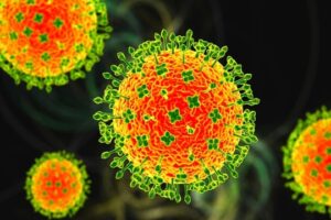 virus-nipah